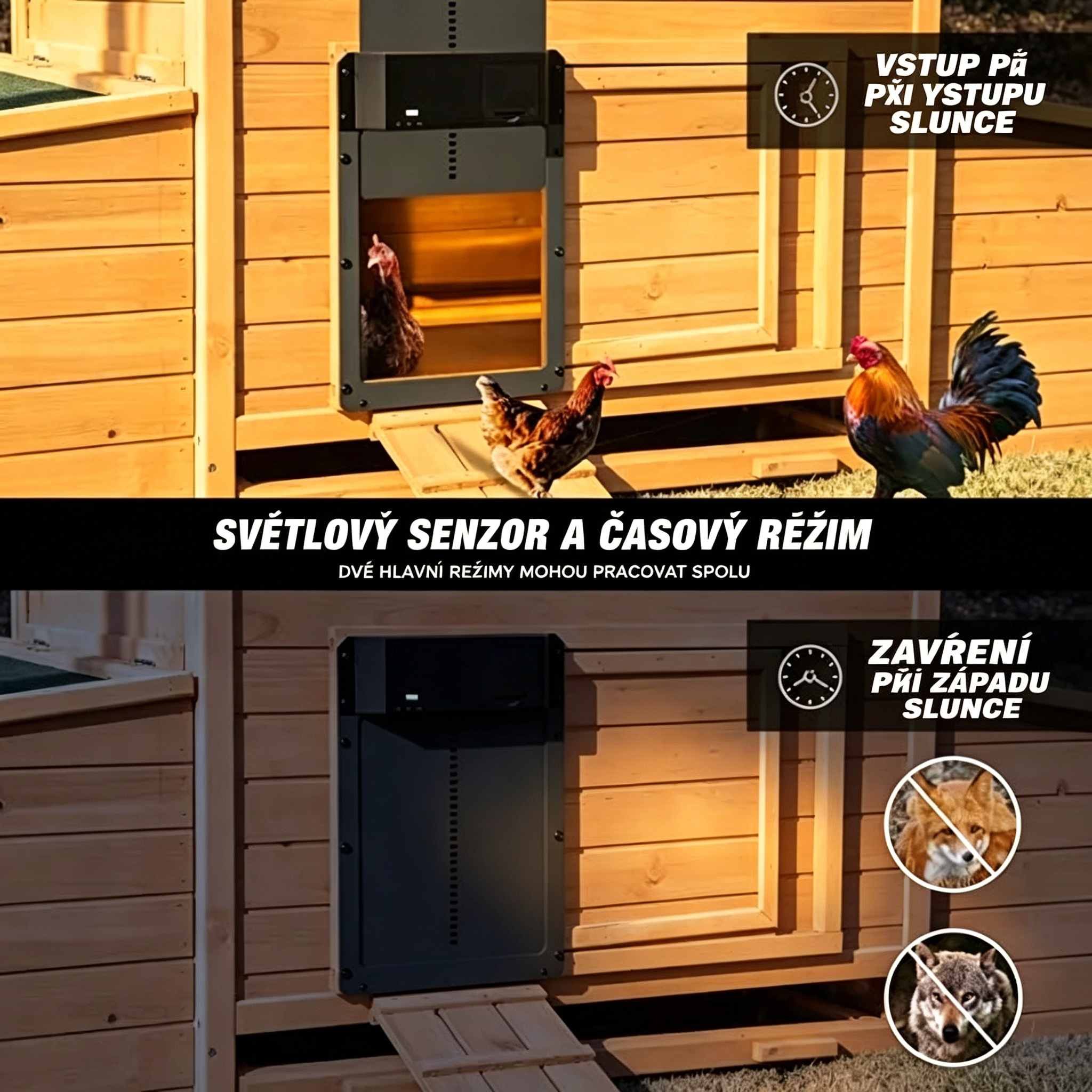 Časově omezená nabídka! 🔥 Automatické dveře kurníku se světelným senzorem.